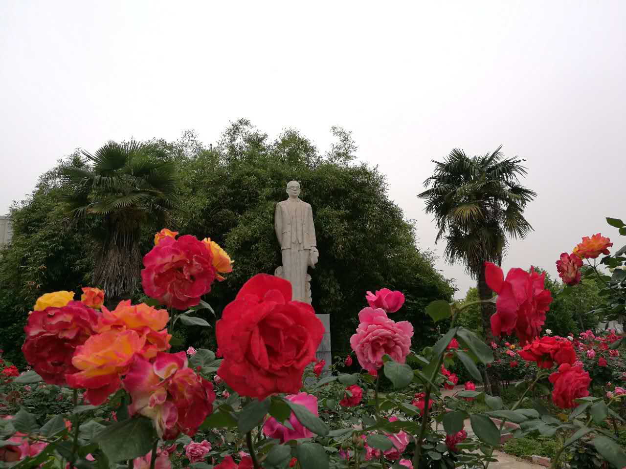 圖片關(guān)鍵詞